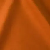 2427515 - ARAGOSTA